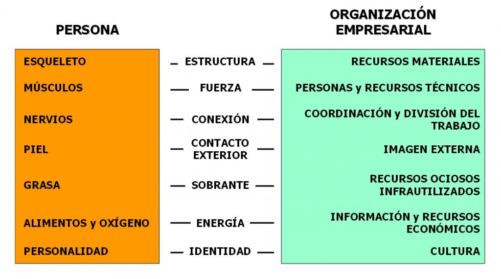 persona-organizacion1